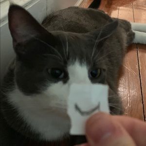 Meet your Posher, Maxwell